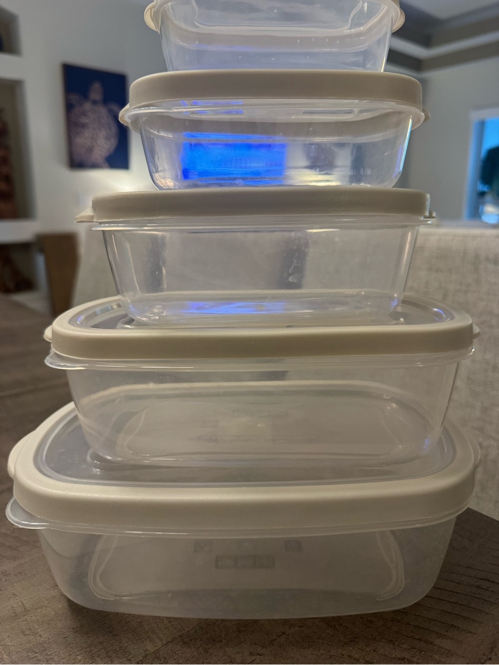 Set of 5 Neutral Plastic Food Storage Containers.